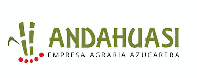 Logo ANDAHUASI.png